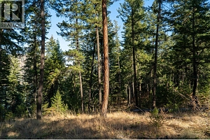 5893 Cosens Bay Road - Photo 35