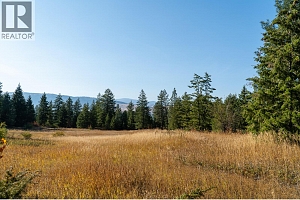 5893 Cosens Bay Road - Photo 44