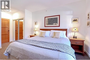 255 Feathertop Way Unit# 320 - Photo 19