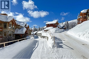 255 Feathertop Way Unit# 320 - Photo 2