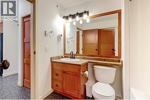 255 Feathertop Way Unit# 320 - Photo 20