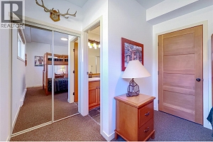 255 Feathertop Way Unit# 320 - Photo 21