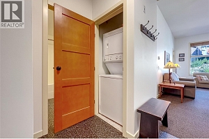 255 Feathertop Way Unit# 320 - Photo 24