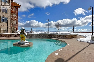 255 Feathertop Way Unit# 320 - Photo 25