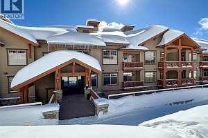 255 Feathertop Way Unit# 320 - Photo 39