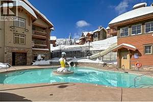 255 Feathertop Way Unit# 320 - Photo 4