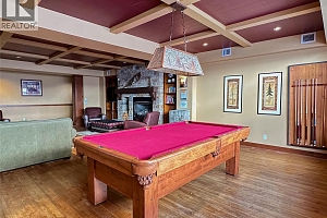 255 Feathertop Way Unit# 320 - Photo 40