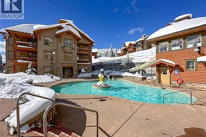 255 Feathertop Way Unit# 320 - Photo 43