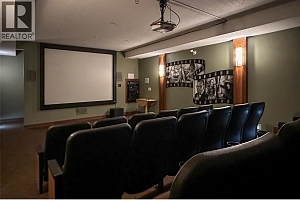 255 Feathertop Way Unit# 320 - Photo 47