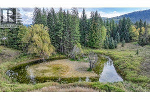 3144 Creighton Valley Road - Photo 14