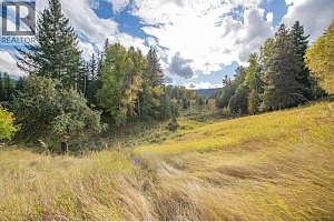 3144 Creighton Valley Road - Photo 37