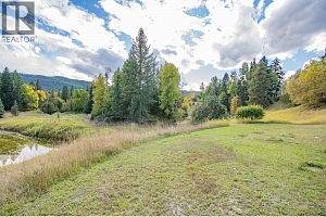 3144 Creighton Valley Road - Photo 40