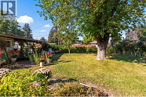 3405 18 Street - Photo 26