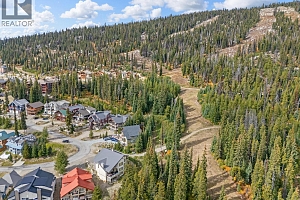 5946 Snow Pines Crescent Unit# A - Photo 46