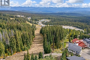 5946 Snow Pines Crescent Unit# A - Photo 48