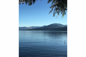 3 Mary Anne's Road - Photo 38