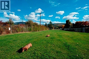 415 Commonwealth Road Unit# 122 - Photo 13