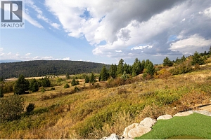 18252 Angus Road - Photo 22