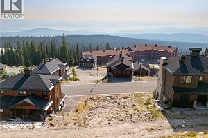 440 Feathertop Way Lot# 51 - Photo 10