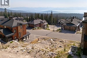 440 Feathertop Way Lot# 51 - Photo 13