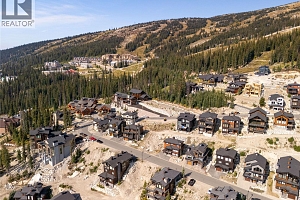 440 Feathertop Way Lot# 51 - Photo 16