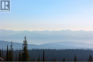 440 Feathertop Way Lot# 51 - Photo 19