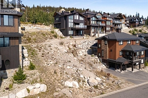 440 Feathertop Way Lot# 51 - Photo 3