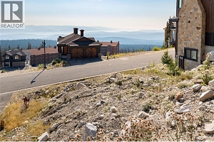 440 Feathertop Way Lot# 51 - Photo 9