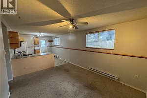 1025 Laurier Avenue - Photo 65