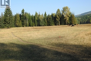 1852 Trinity Valley Road - Photo 13