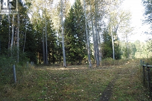 1852 Trinity Valley Road - Photo 22