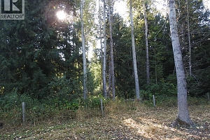 1852 Trinity Valley Road - Photo 27