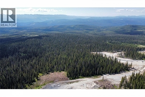 DL4259 Black Forest Road - Photo 10