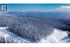 DL4259 Black Forest Road - Photo 11