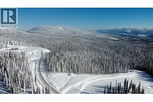 DL4259 Black Forest Road - Photo 12