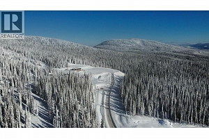 DL4259 Black Forest Road - Photo 13