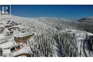 DL4259 Black Forest Road - Photo 14