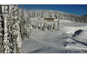 DL4259 Black Forest Road - Photo 15