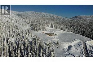 DL4259 Black Forest Road - Photo 16