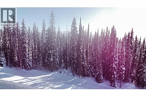 DL4259 Black Forest Road - Photo 18