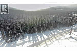 DL4259 Black Forest Road - Photo 19