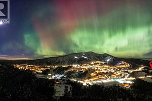 DL4259 Black Forest Road - Photo 2