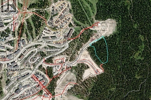 DL4259 Black Forest Road - Photo 20