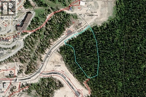 DL4259 Black Forest Road - Photo 21