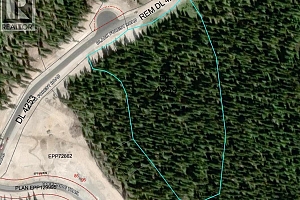 DL4259 Black Forest Road - Photo 22