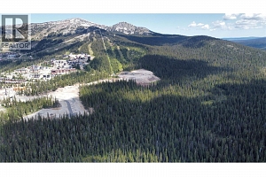 DL4259 Black Forest Road - Photo 3