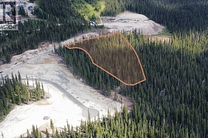 DL4259 Black Forest Road - Photo 4