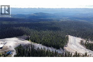 DL4259 Black Forest Road - Photo 5