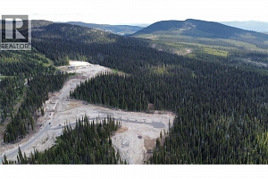 DL4259 Black Forest Road - Photo 6