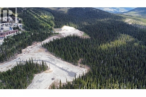 DL4259 Black Forest Road - Photo 7